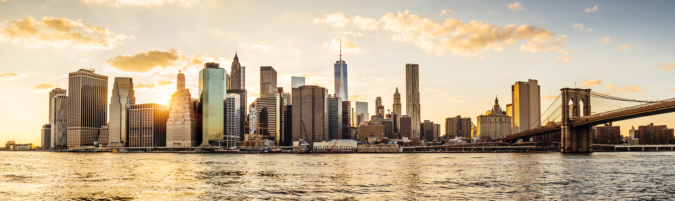 Skyline of lower Manhattan near the Alex. Brown branch