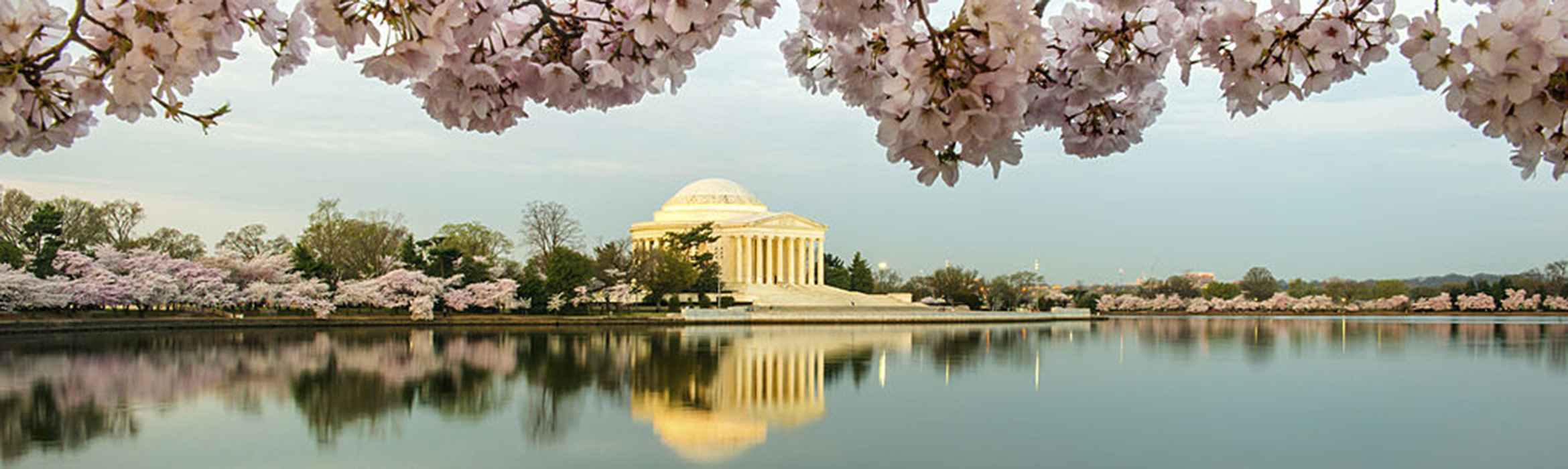 Beautiful scenery of Washington DC near the Alex. Brown branch